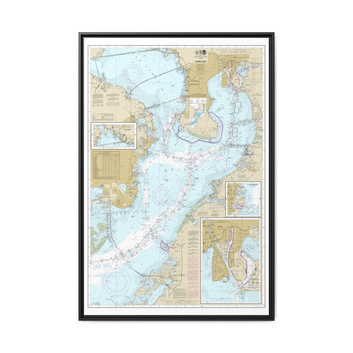 Chart 11416 Tampa Bay;Safety Harbor;St. Petersburg;Tampa - NOAA Nautical Chart Floating Frame Canvas | 20" x 30" | 24" x 36" | 32" x 48" - Black front