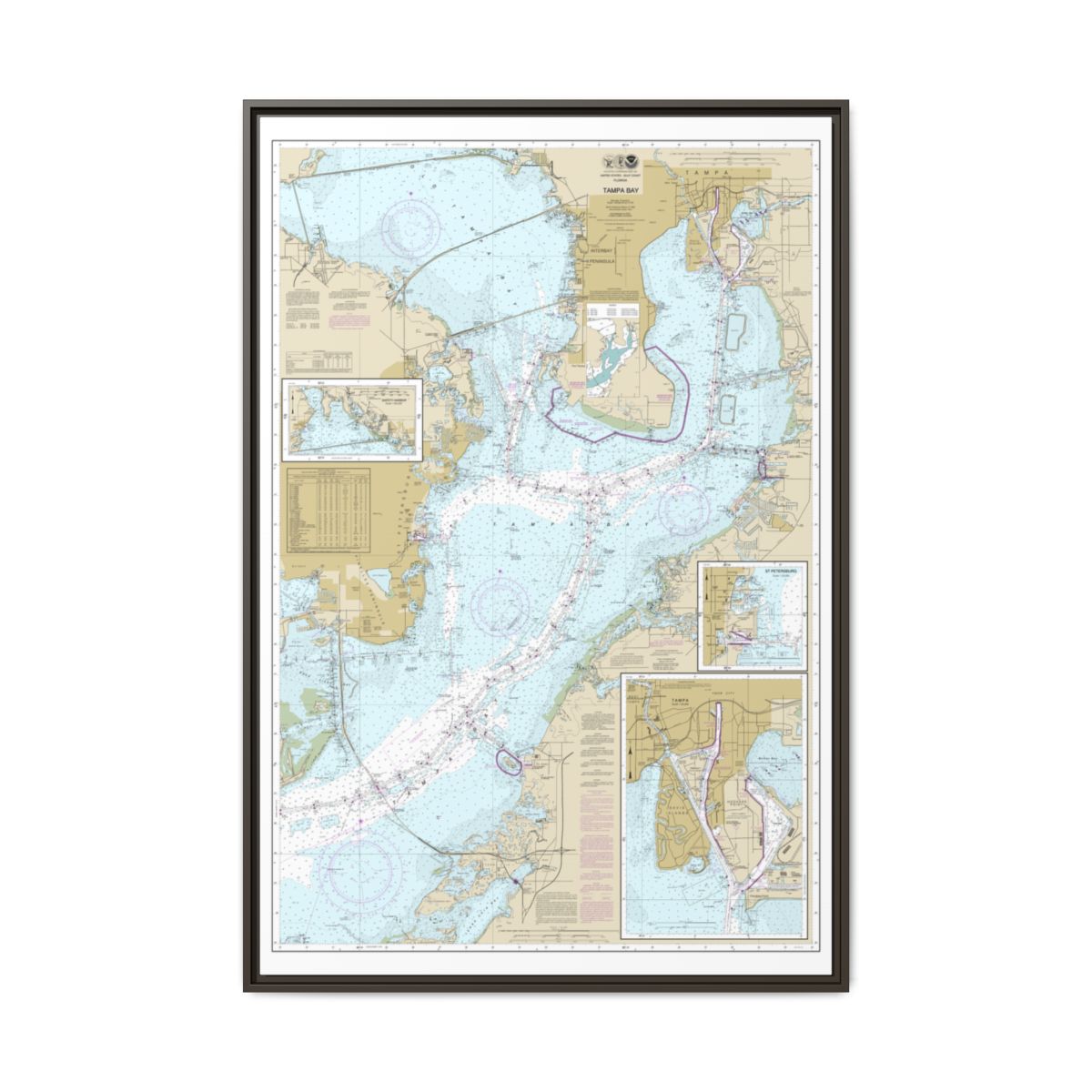 Chart 11416 Tampa Bay;Safety Harbor;St. Petersburg;Tampa - NOAA Nautical Chart Floating Frame Canvas | 20" x 30" | 24" x 36" | 32" x 48" - Espresso front