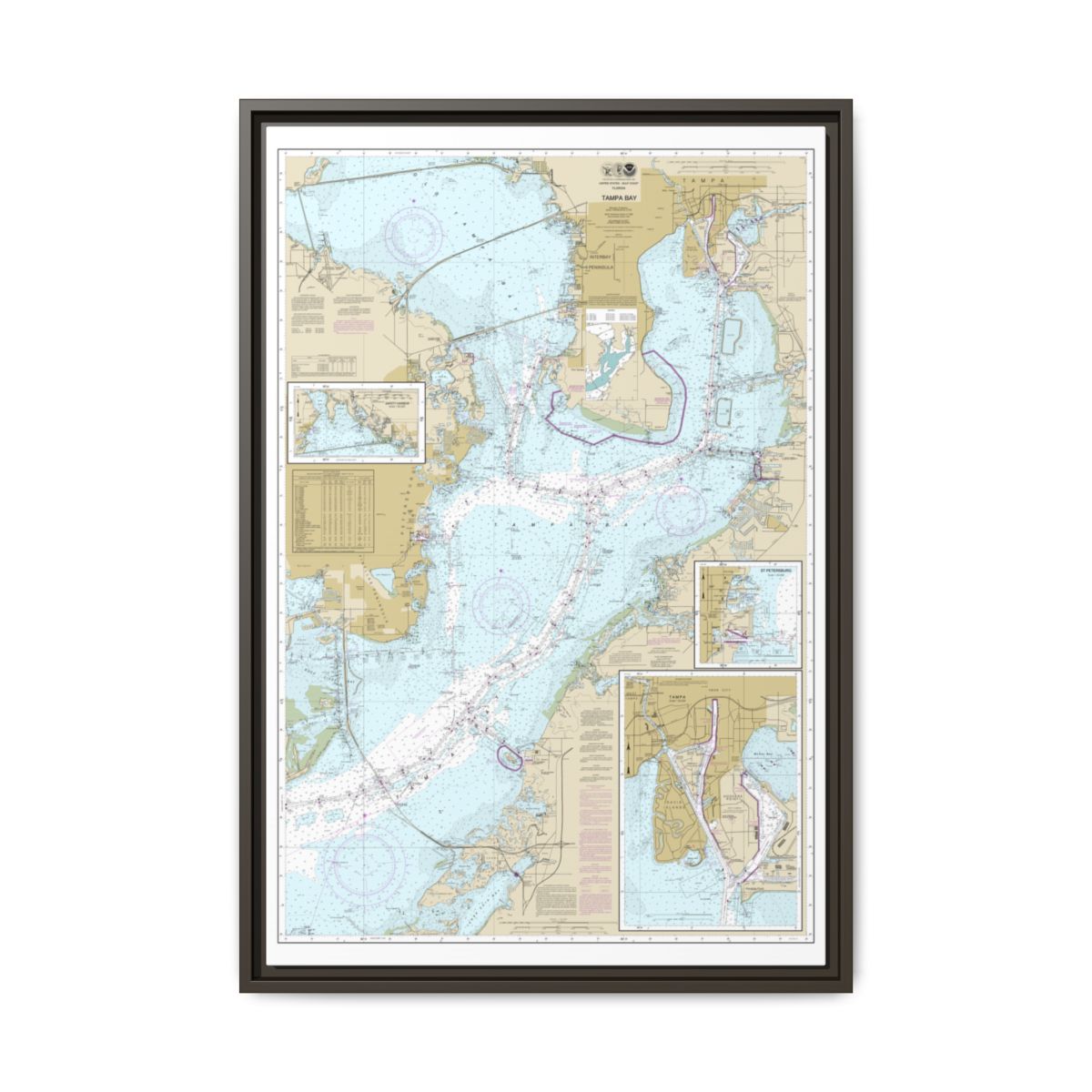 Chart 11416 Tampa Bay;Safety Harbor;St. Petersburg;Tampa - NOAA Nautical Chart Floating Frame Canvas | 20" x 30" | 24" x 36" | 32" x 48" - Espresso front