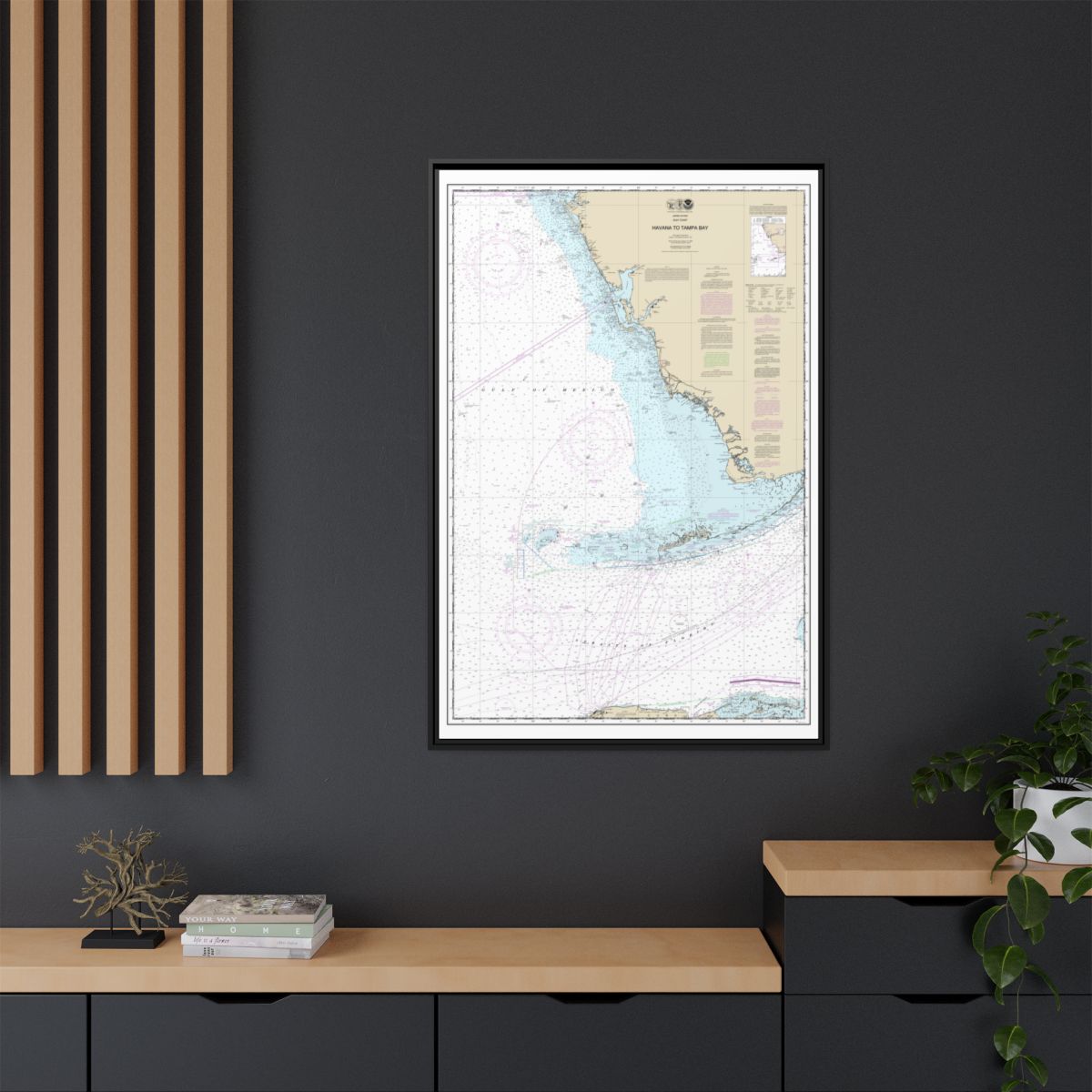 Chart 11420 Havana to Tampa Bay - NOAA Nautical Chart Floating Frame Canvas | 20" x 30" | 24" x 36" | 32" x 48" - Black context-2