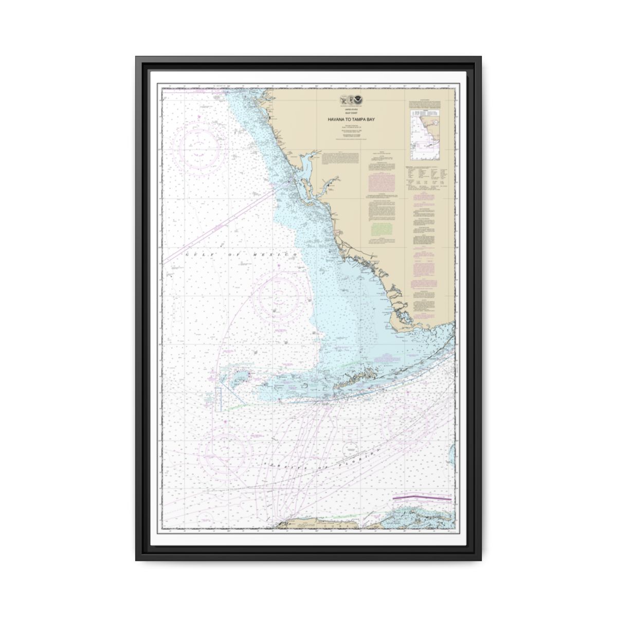 Chart 11420 Havana to Tampa Bay - NOAA Nautical Chart Floating Frame Canvas | 20" x 30" | 24" x 36" | 32" x 48" - Black front