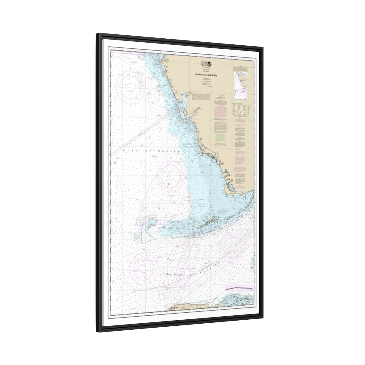 Chart 11420 Havana to Tampa Bay - NOAA Nautical Chart Floating Frame Canvas | 20" x 30" | 24" x 36" | 32" x 48" - Black side