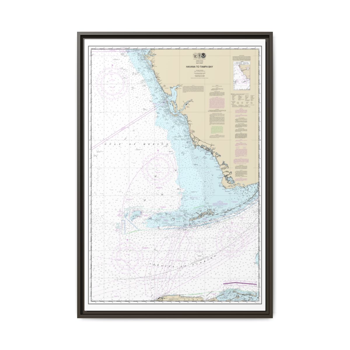 Chart 11420 Havana to Tampa Bay - NOAA Nautical Chart Floating Frame Canvas | 20" x 30" | 24" x 36" | 32" x 48" - Espresso front