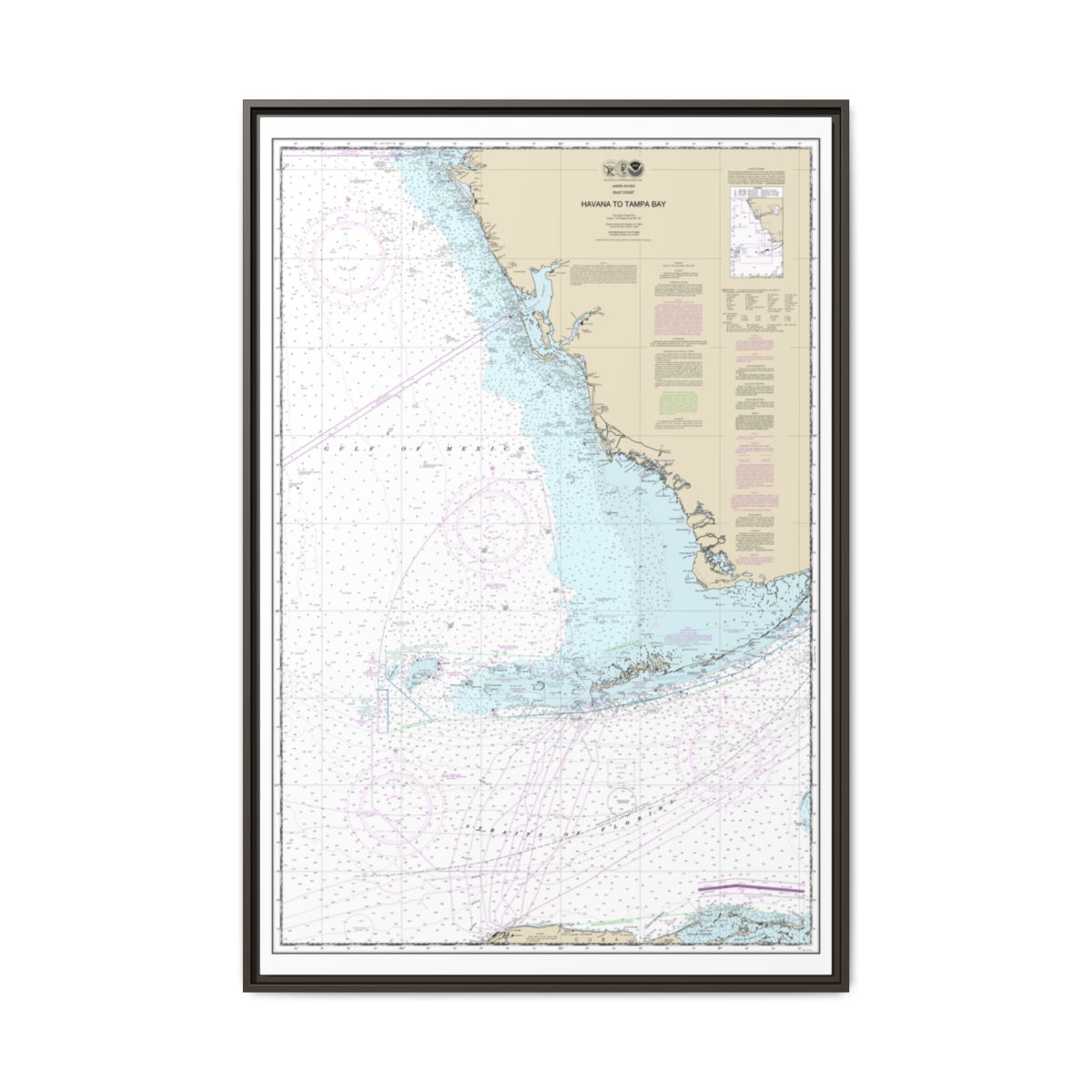 Chart 11420 Havana to Tampa Bay - NOAA Nautical Chart Floating Frame Canvas | 20" x 30" | 24" x 36" | 32" x 48" - Espresso front