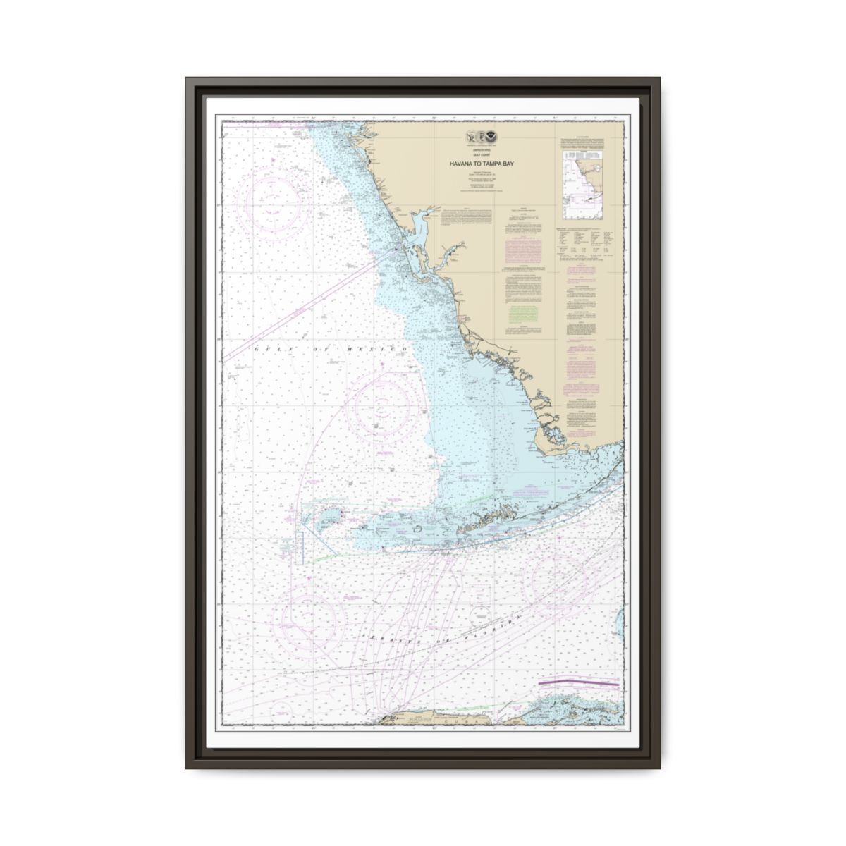 Chart 11420 Havana to Tampa Bay - NOAA Nautical Chart Floating Frame Canvas | 20" x 30" | 24" x 36" | 32" x 48" - Espresso front