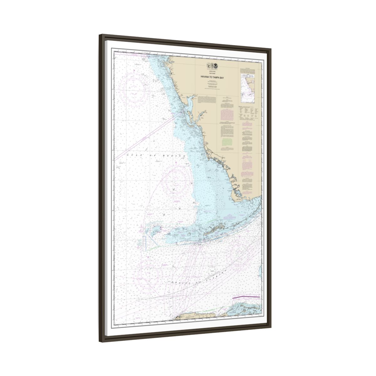 Chart 11420 Havana to Tampa Bay - NOAA Nautical Chart Floating Frame Canvas | 20" x 30" | 24" x 36" | 32" x 48" - Espresso side