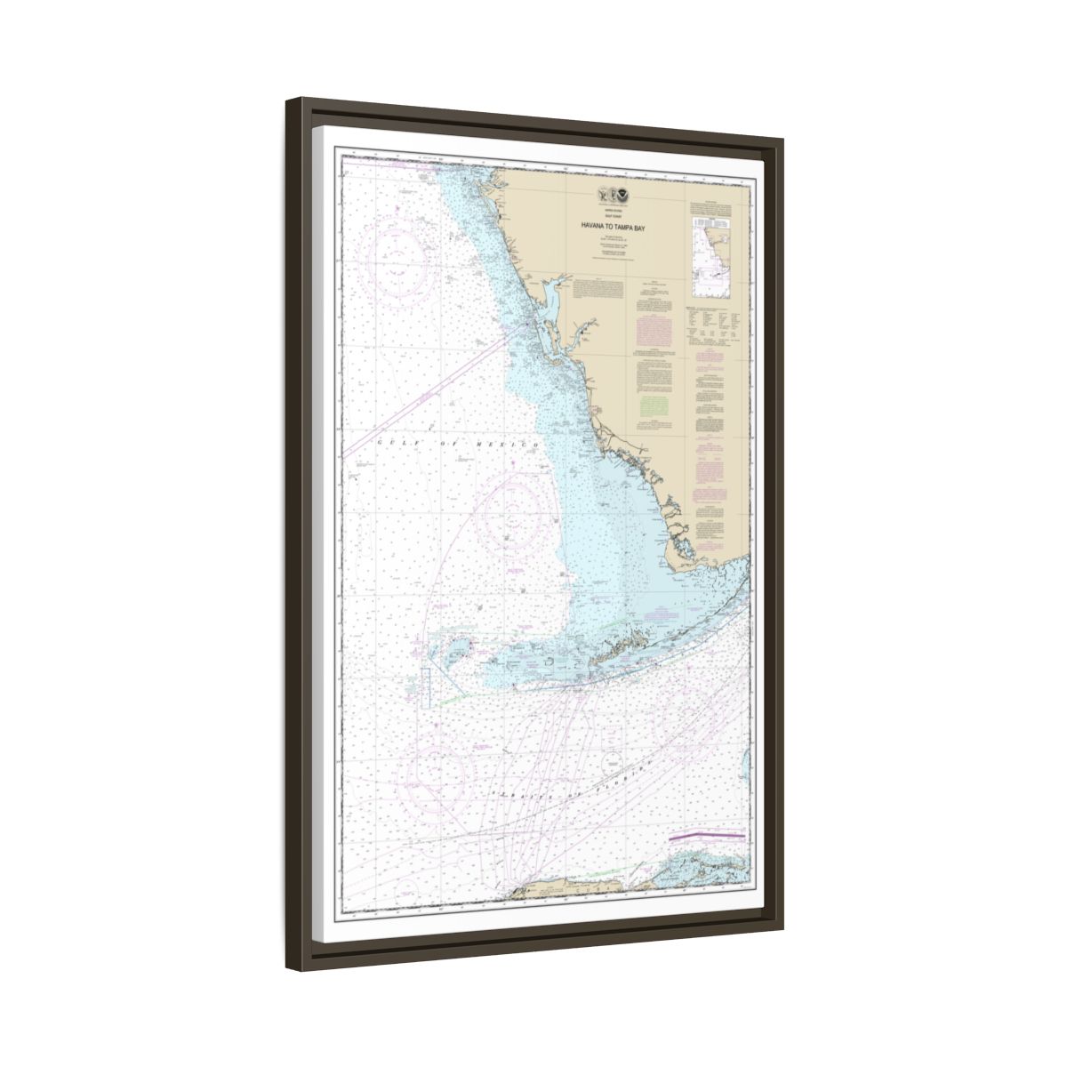 Chart 11420 Havana to Tampa Bay - NOAA Nautical Chart Floating Frame Canvas | 20" x 30" | 24" x 36" | 32" x 48" - Espresso side