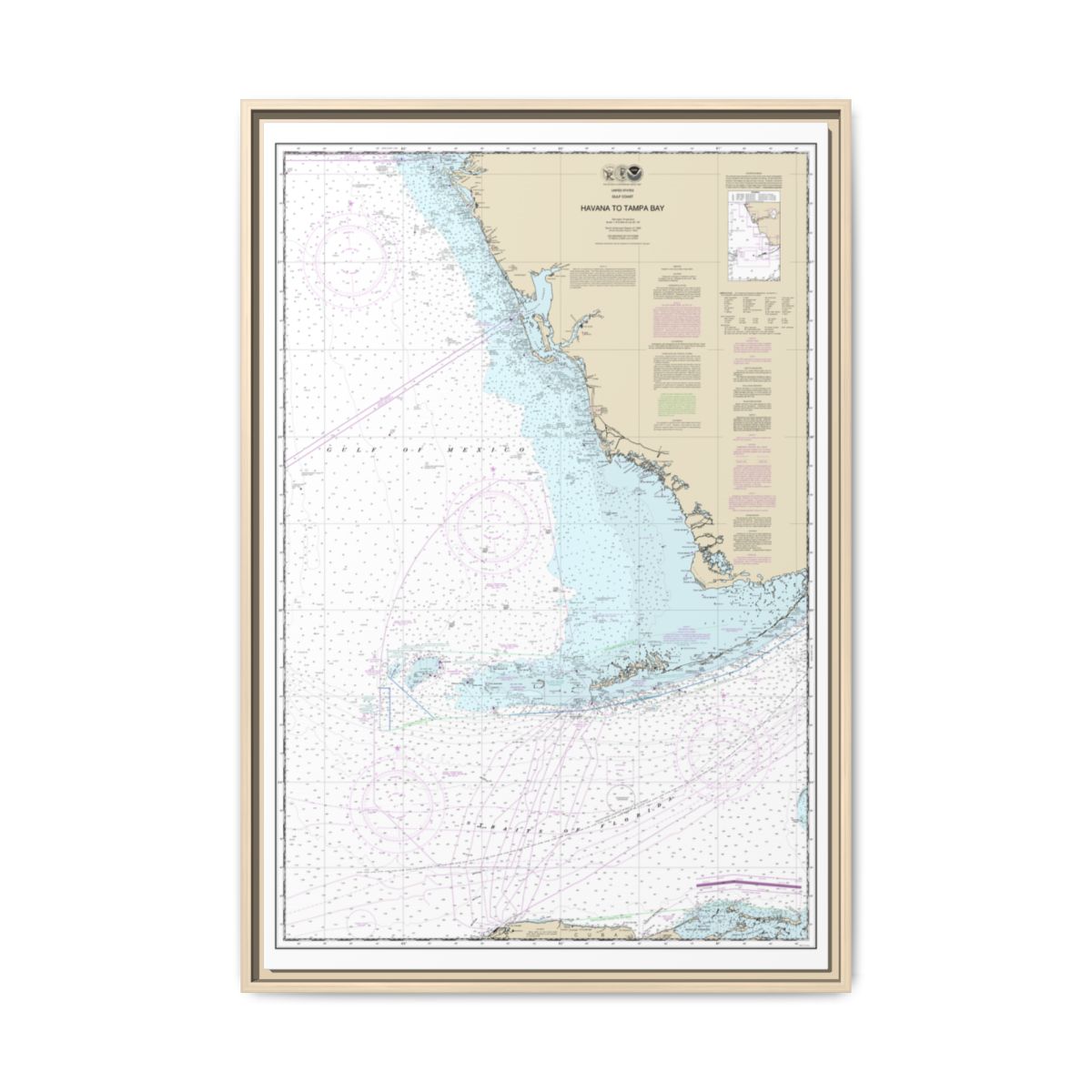 Chart 11420 Havana to Tampa Bay - NOAA Nautical Chart Floating Frame Canvas | 20" x 30" | 24" x 36" | 32" x 48" - Natural front