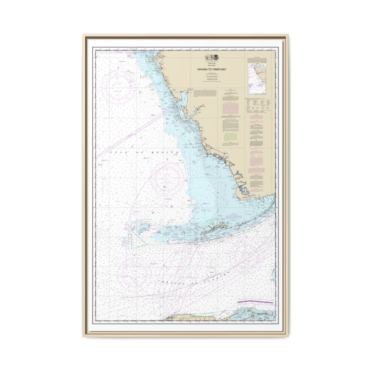 Chart 11420 Havana to Tampa Bay - NOAA Nautical Chart Floating Frame Canvas | 20" x 30" | 24" x 36" | 32" x 48" - Natural front