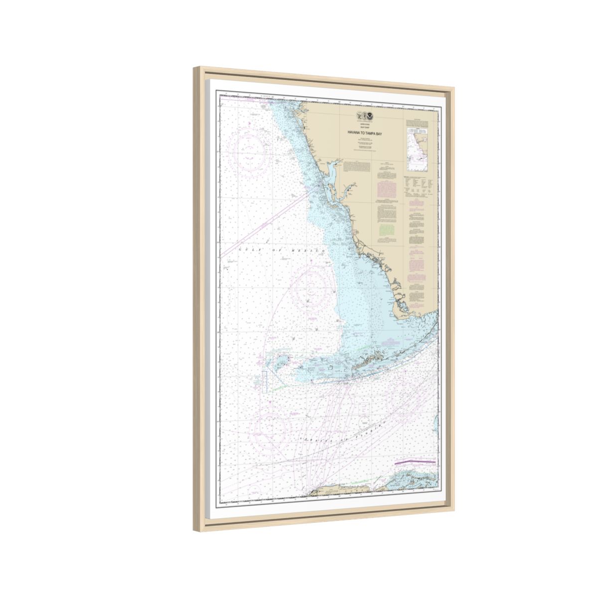 Chart 11420 Havana to Tampa Bay - NOAA Nautical Chart Floating Frame Canvas | 20" x 30" | 24" x 36" | 32" x 48" - Natural side