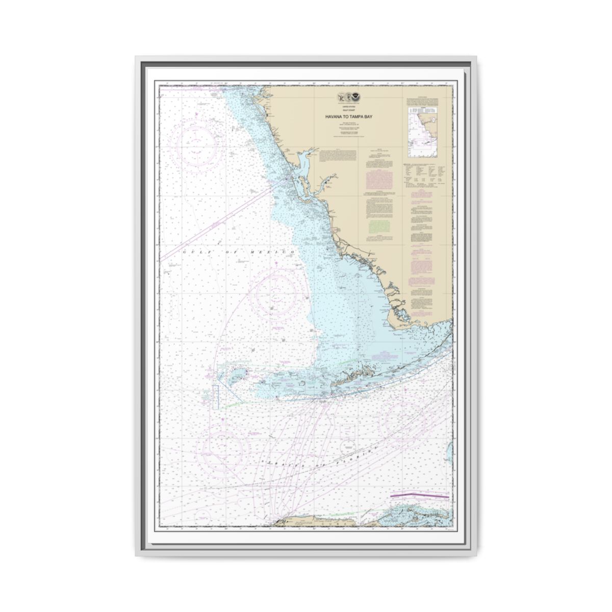 Chart 11420 Havana to Tampa Bay - NOAA Nautical Chart Floating Frame Canvas | 20" x 30" | 24" x 36" | 32" x 48" - White front