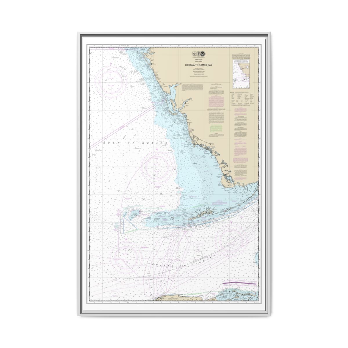 Chart 11420 Havana to Tampa Bay - NOAA Nautical Chart Floating Frame Canvas | 20" x 30" | 24" x 36" | 32" x 48" - White front