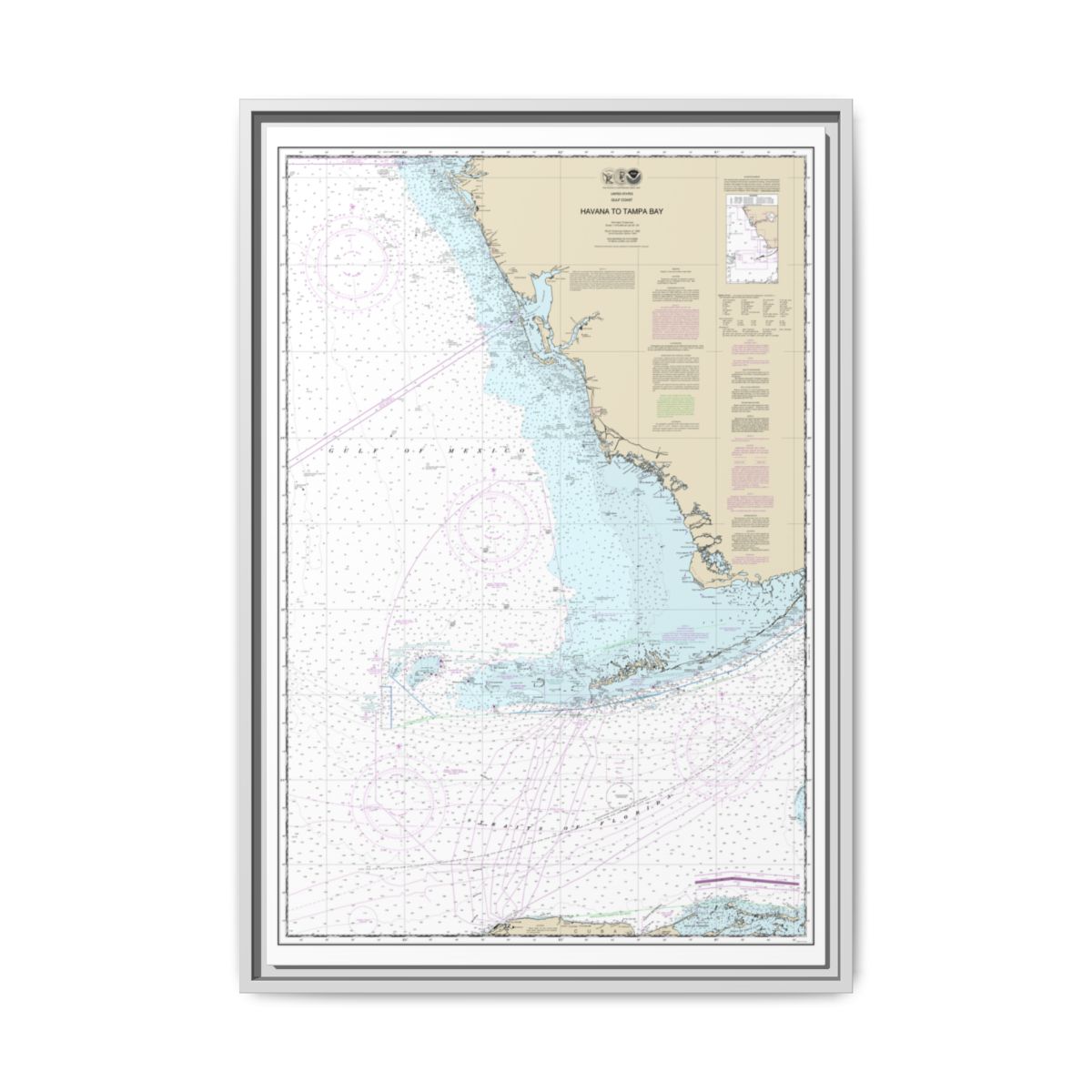 Chart 11420 Havana to Tampa Bay - NOAA Nautical Chart Floating Frame Canvas | 20" x 30" | 24" x 36" | 32" x 48" - White front