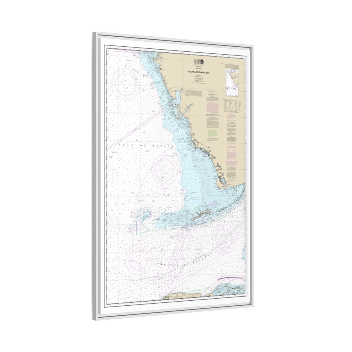 Chart 11420 Havana to Tampa Bay - NOAA Nautical Chart Floating Frame Canvas | 20" x 30" | 24" x 36" | 32" x 48" - White side