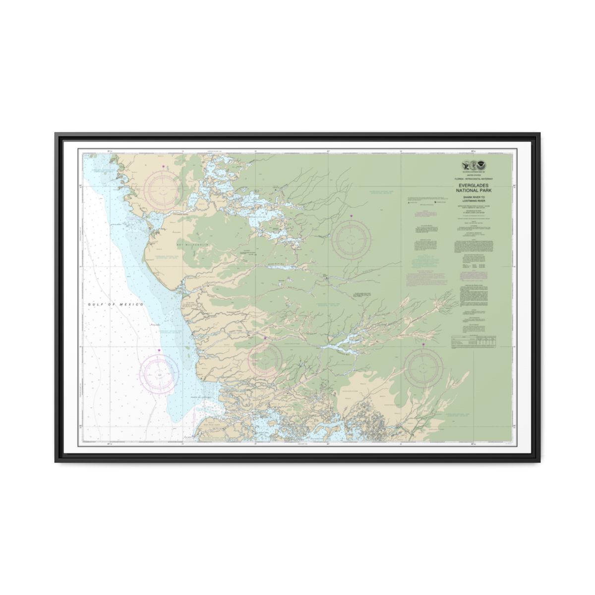 Chart 11432 Everglades National Park Shark River to Lostmans River - NOAA Nautical Chart Floating Frame Canvas | 30" x 20" | 36" x 24" | 48" x 32" - Black front