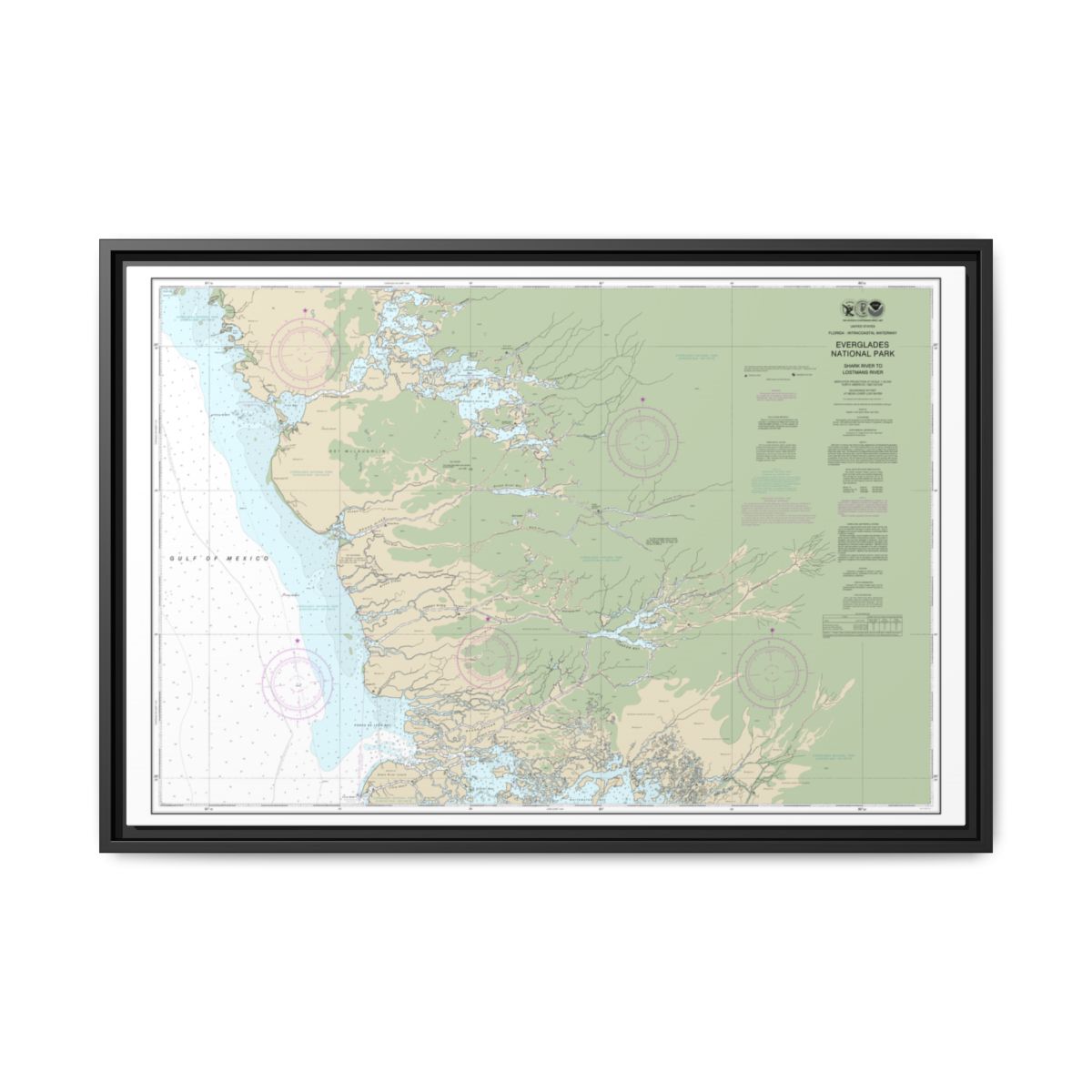 Chart 11432 Everglades National Park Shark River to Lostmans River - NOAA Nautical Chart Floating Frame Canvas | 30" x 20" | 36" x 24" | 48" x 32" - Black front