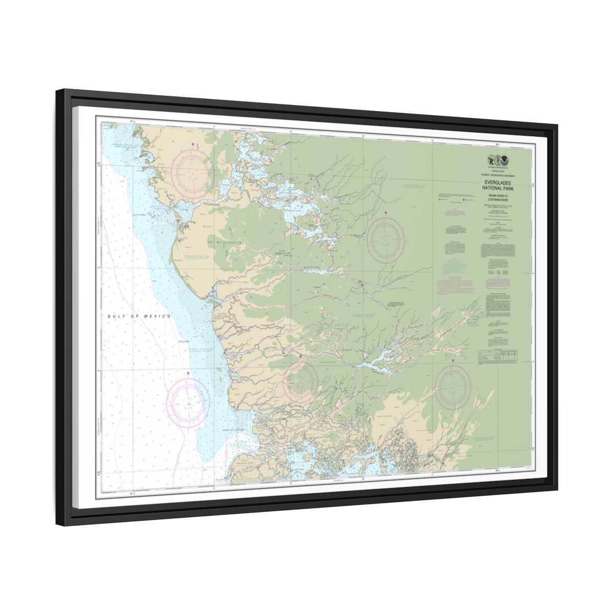 Chart 11432 Everglades National Park Shark River to Lostmans River - NOAA Nautical Chart Floating Frame Canvas | 30" x 20" | 36" x 24" | 48" x 32" - Black side
