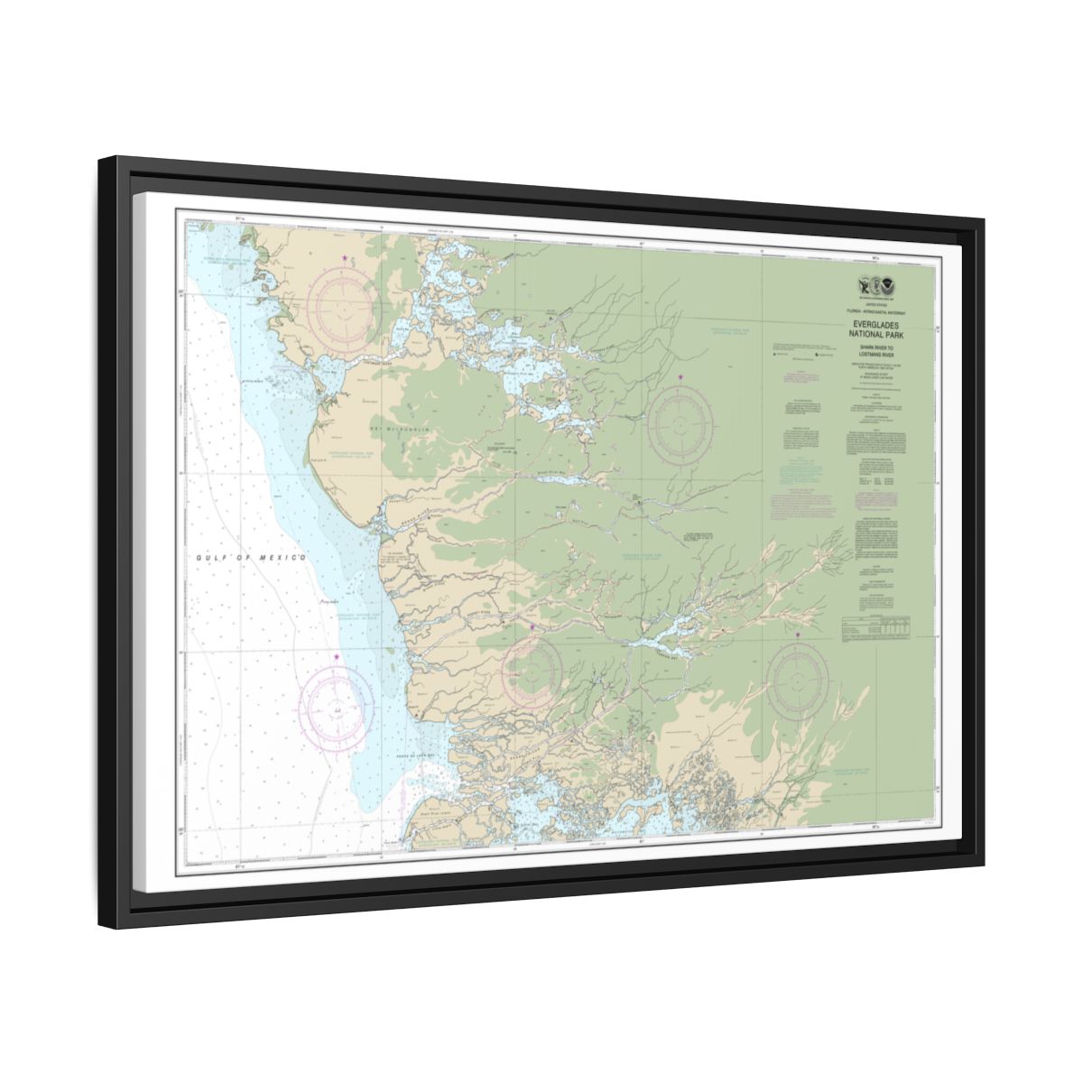 Chart 11432 Everglades National Park Shark River to Lostmans River - NOAA Nautical Chart Floating Frame Canvas | 30" x 20" | 36" x 24" | 48" x 32" - Black side