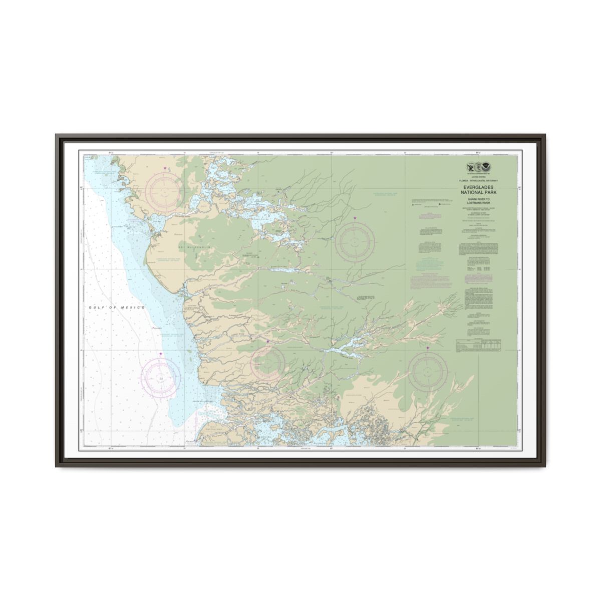 Chart 11432 Everglades National Park Shark River to Lostmans River - NOAA Nautical Chart Floating Frame Canvas | 30" x 20" | 36" x 24" | 48" x 32" - Espresso front