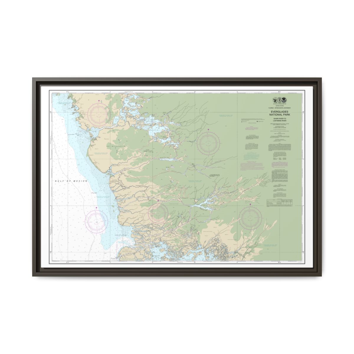 Chart 11432 Everglades National Park Shark River to Lostmans River - NOAA Nautical Chart Floating Frame Canvas | 30" x 20" | 36" x 24" | 48" x 32" - Espresso front