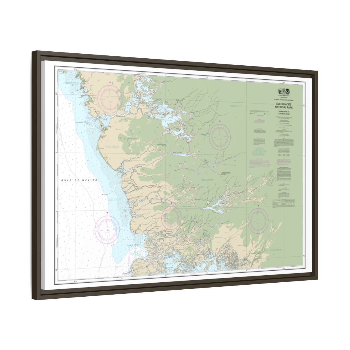 Chart 11432 Everglades National Park Shark River to Lostmans River - NOAA Nautical Chart Floating Frame Canvas | 30" x 20" | 36" x 24" | 48" x 32" - Espresso side