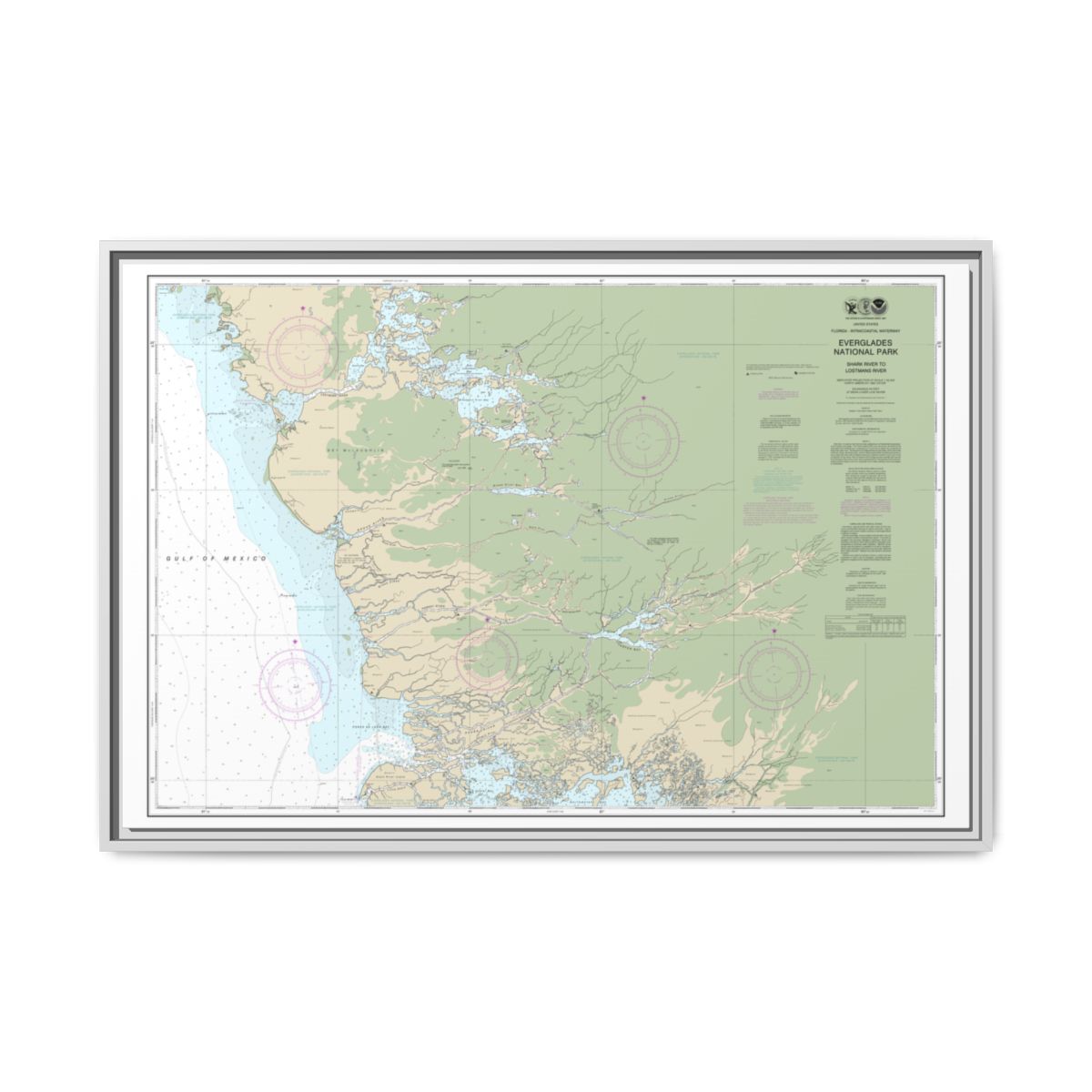 Chart 11432 Everglades National Park Shark River to Lostmans River - NOAA Nautical Chart Floating Frame Canvas | 30" x 20" | 36" x 24" | 48" x 32" - White front