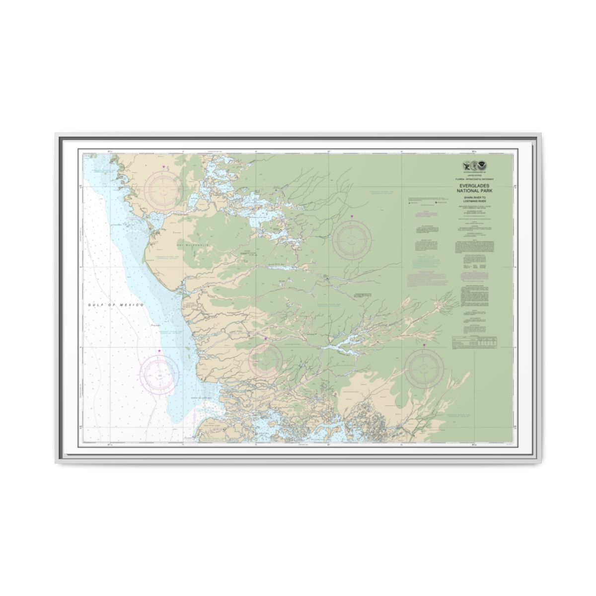 Chart 11432 Everglades National Park Shark River to Lostmans River - NOAA Nautical Chart Floating Frame Canvas | 30" x 20" | 36" x 24" | 48" x 32" - White front