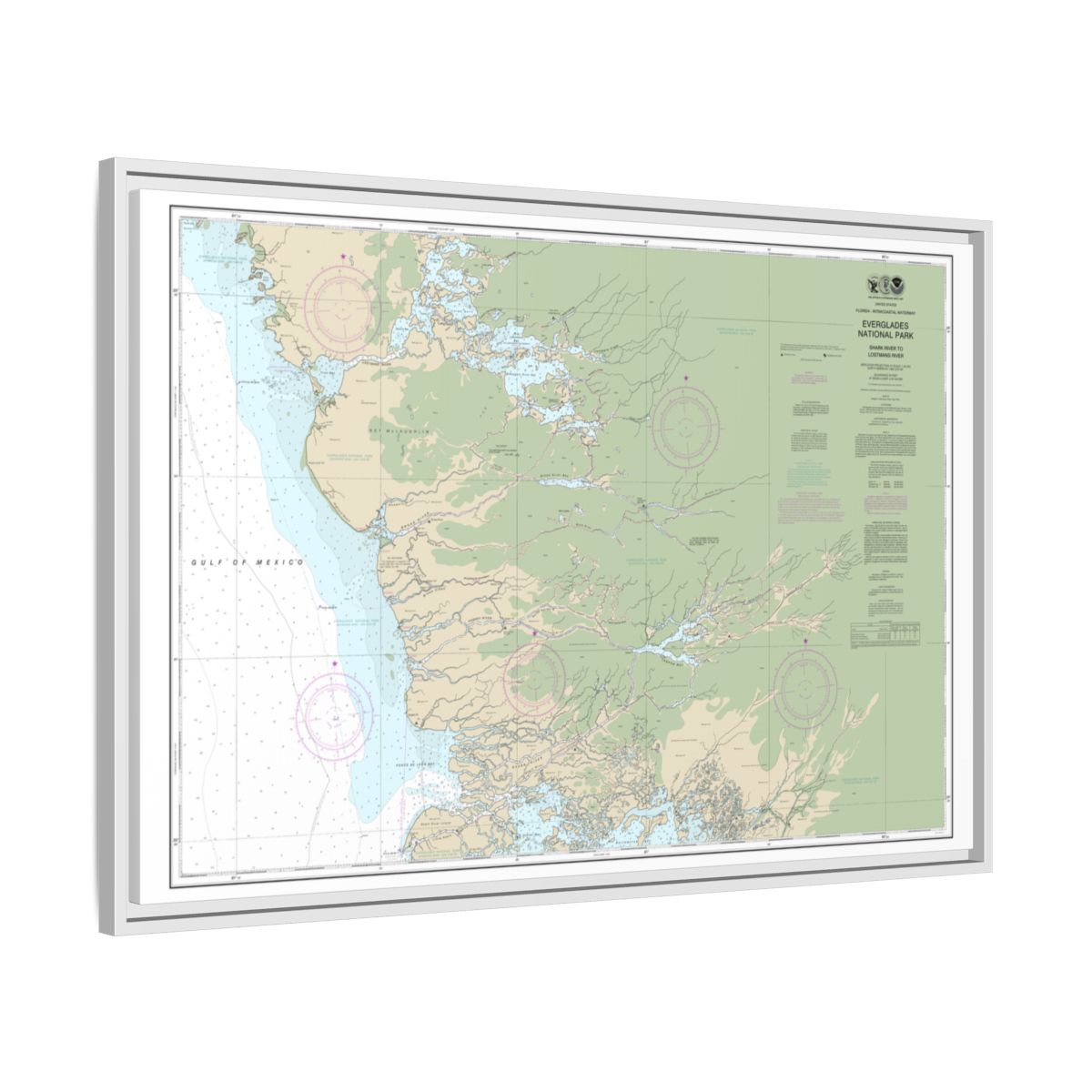 Chart 11432 Everglades National Park Shark River to Lostmans River - NOAA Nautical Chart Floating Frame Canvas | 30" x 20" | 36" x 24" | 48" x 32" - White side