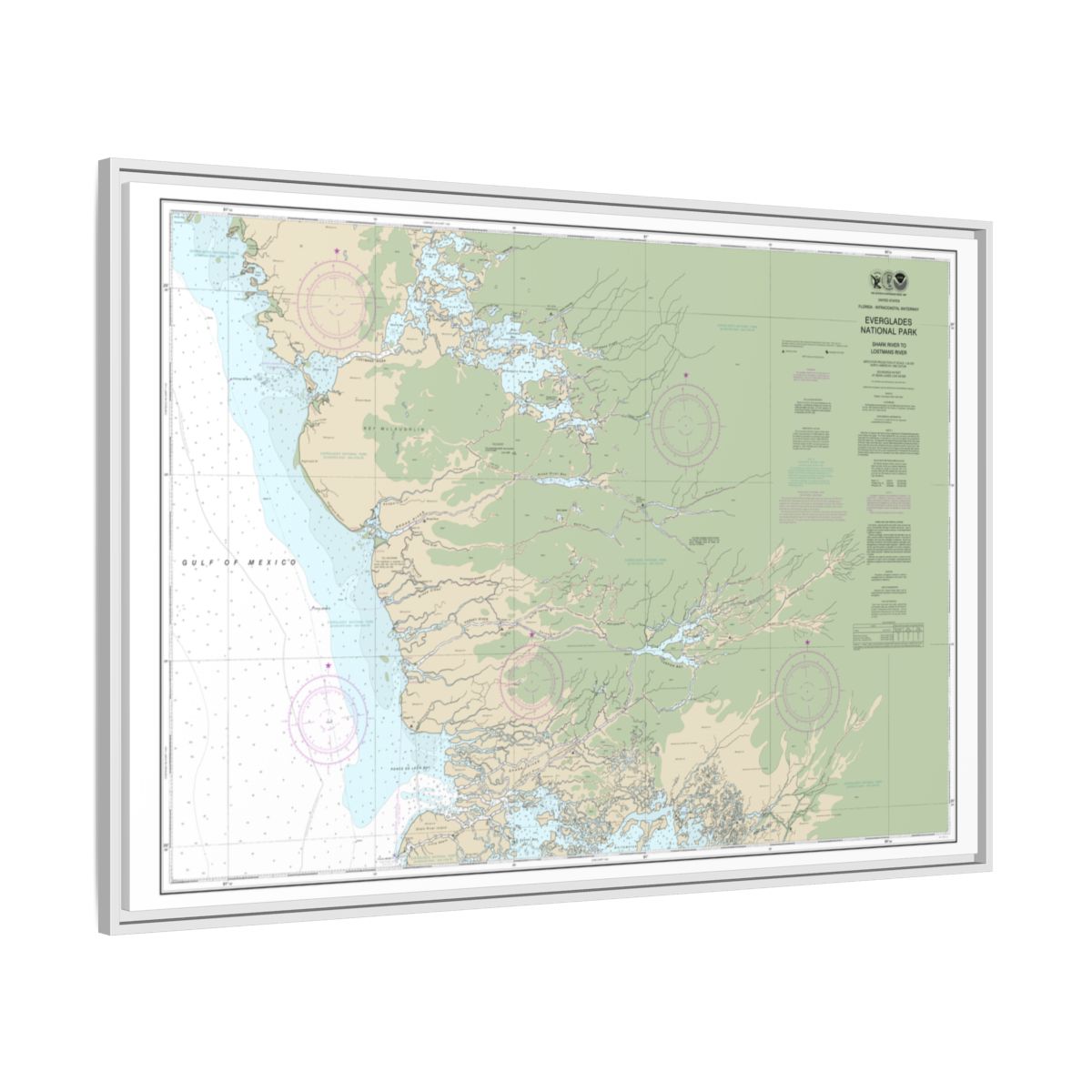 Chart 11432 Everglades National Park Shark River to Lostmans River - NOAA Nautical Chart Floating Frame Canvas | 30" x 20" | 36" x 24" | 48" x 32" - White side