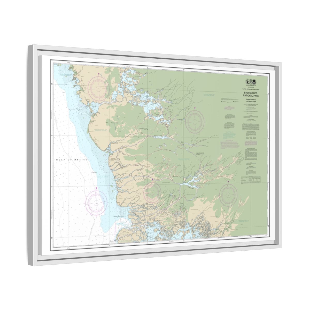 Chart 11432 Everglades National Park Shark River to Lostmans River - NOAA Nautical Chart Floating Frame Canvas | 30" x 20" | 36" x 24" | 48" x 32" - White side