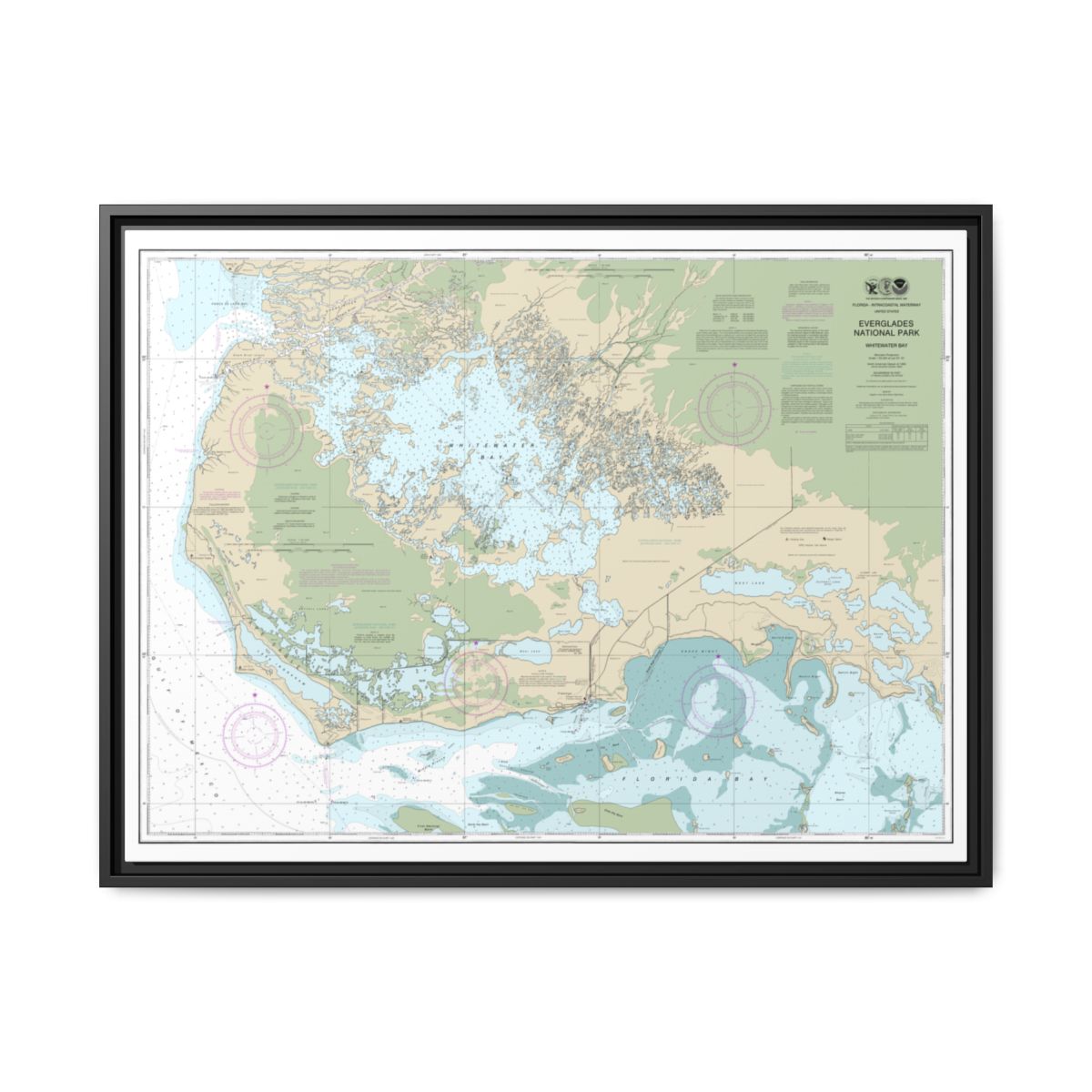 Chart 11433 Everglades National Park Whitewater Bay - NOAA Nautical Chart Floating Frame Canvas | 32" x 24" | 40" x 30" - Black front