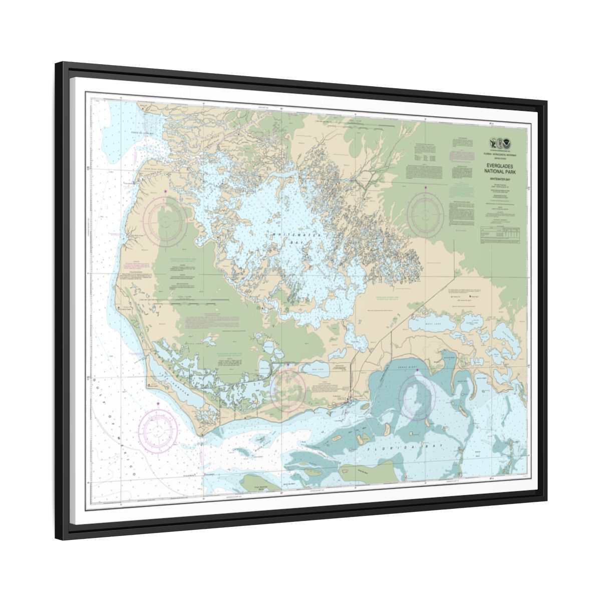 Chart 11433 Everglades National Park Whitewater Bay - NOAA Nautical Chart Floating Frame Canvas | 32" x 24" | 40" x 30" - Black side