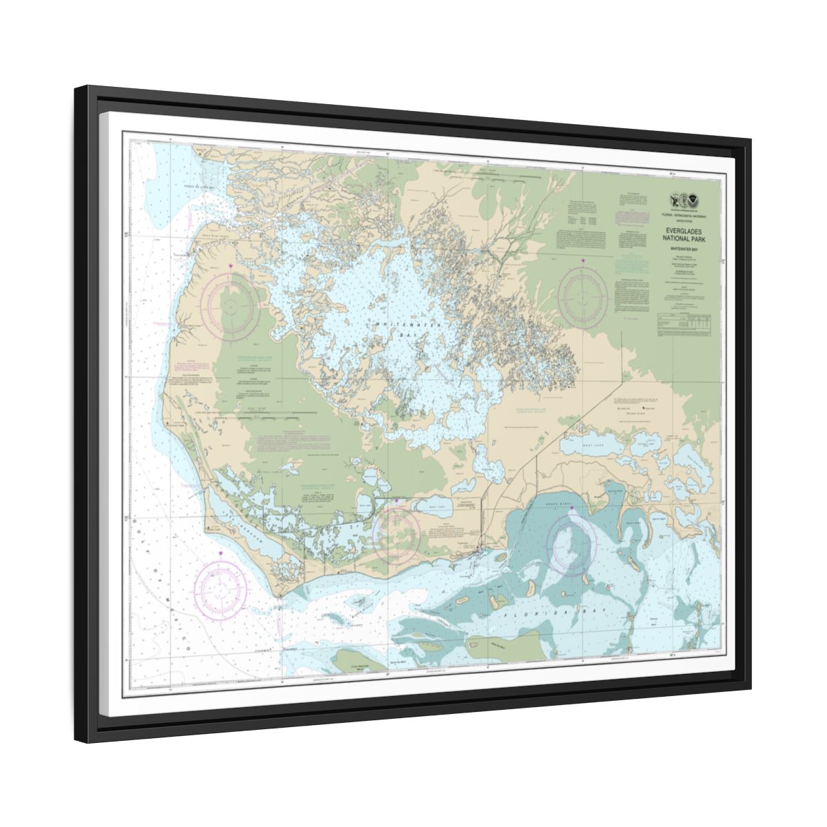 Chart 11433 Everglades National Park Whitewater Bay - NOAA Nautical Chart Floating Frame Canvas | 32" x 24" | 40" x 30" - Black side