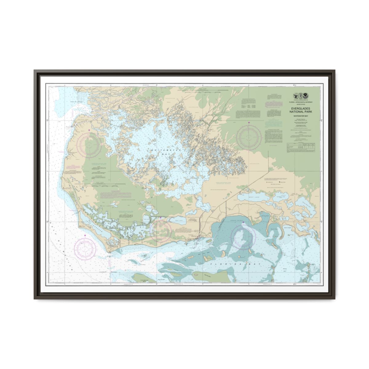 Chart 11433 Everglades National Park Whitewater Bay - NOAA Nautical Chart Floating Frame Canvas | 32" x 24" | 40" x 30" - Espresso front