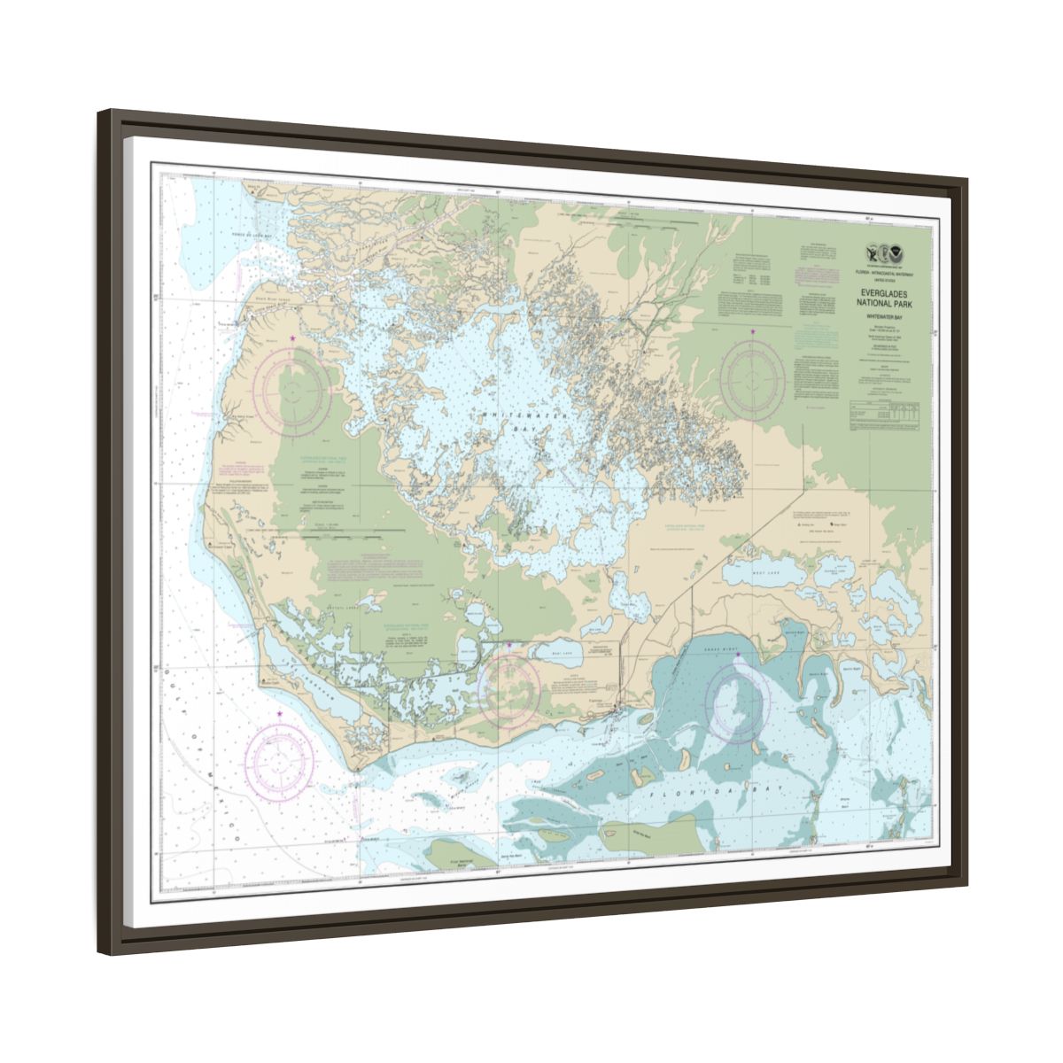 Chart 11433 Everglades National Park Whitewater Bay - NOAA Nautical Chart Floating Frame Canvas | 32" x 24" | 40" x 30" - Espresso side