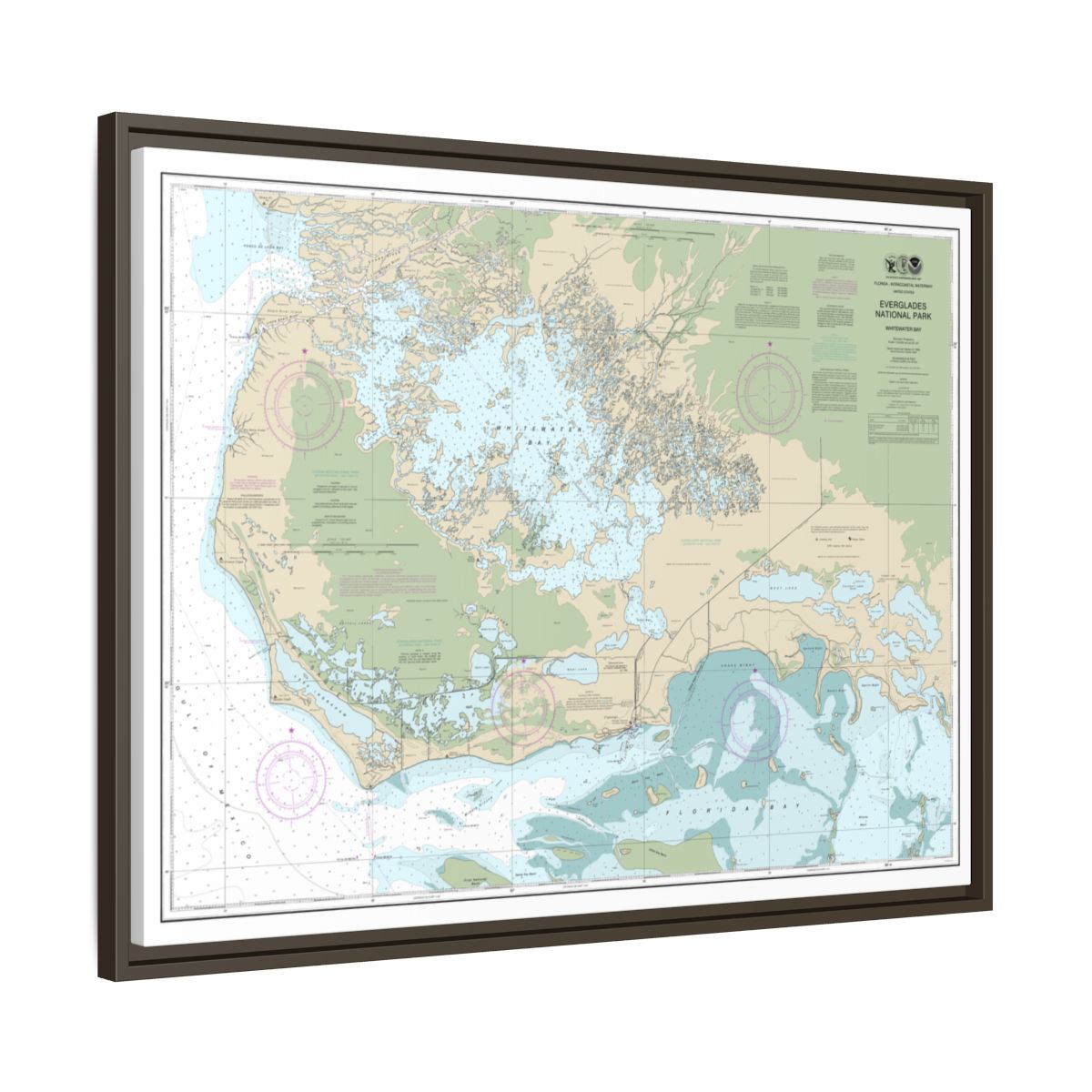 Chart 11433 Everglades National Park Whitewater Bay - NOAA Nautical Chart Floating Frame Canvas | 32" x 24" | 40" x 30" - Espresso side
