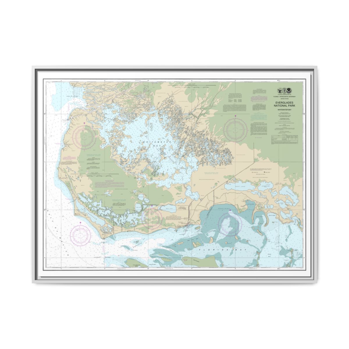 Chart 11433 Everglades National Park Whitewater Bay - NOAA Nautical Chart Floating Frame Canvas | 32" x 24" | 40" x 30" - White front