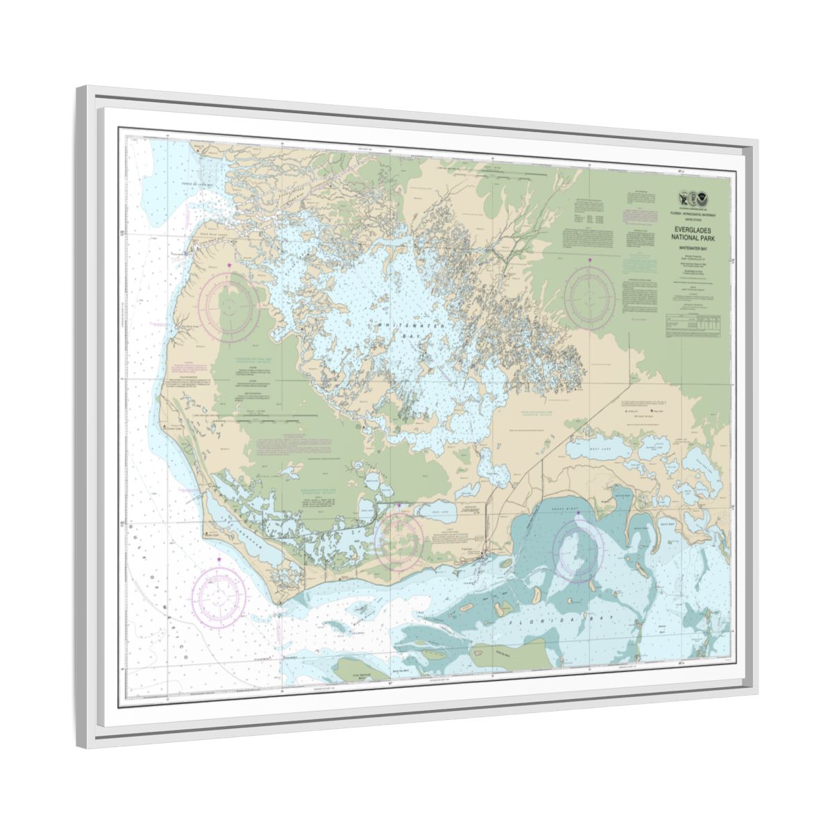 Chart 11433 Everglades National Park Whitewater Bay - NOAA Nautical Chart Floating Frame Canvas | 32" x 24" | 40" x 30" - White side