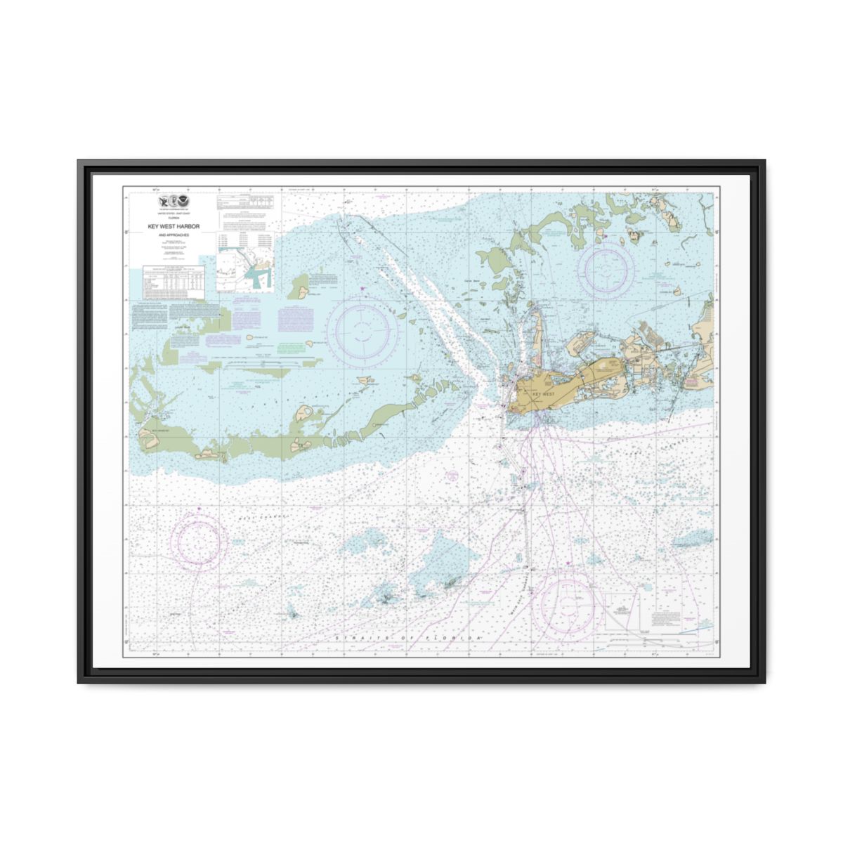 Chart 11441 Key West Harbor and Approaches - NOAA Nautical Chart Floating Frame Canvas | 32" x 24" | 40" x 30" - Black front