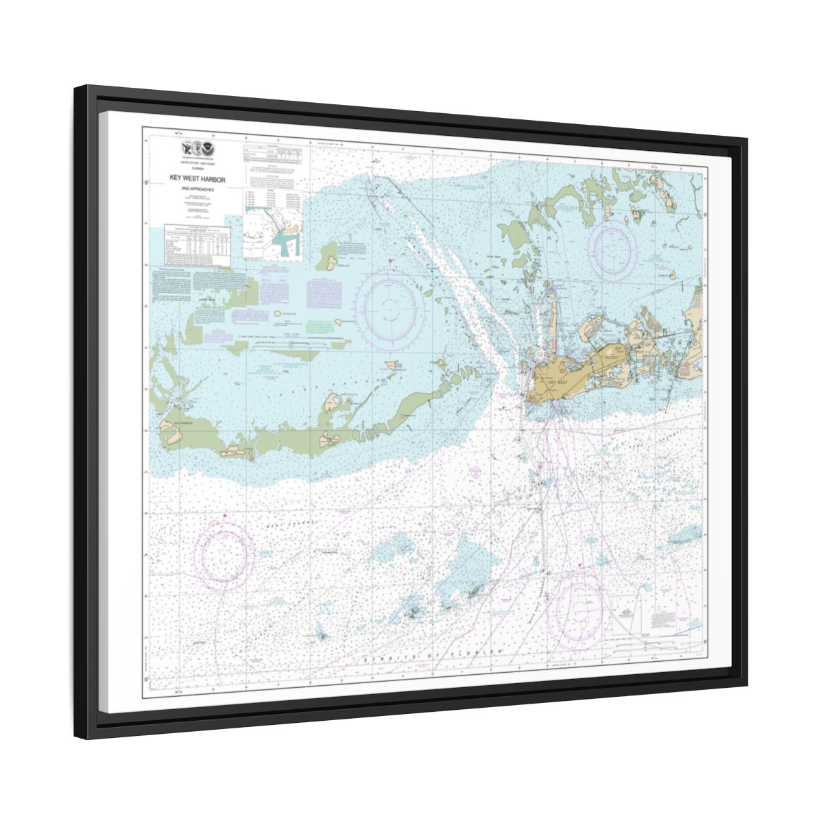 Chart 11441 Key West Harbor and Approaches - NOAA Nautical Chart Floating Frame Canvas | 32" x 24" | 40" x 30" - Black side