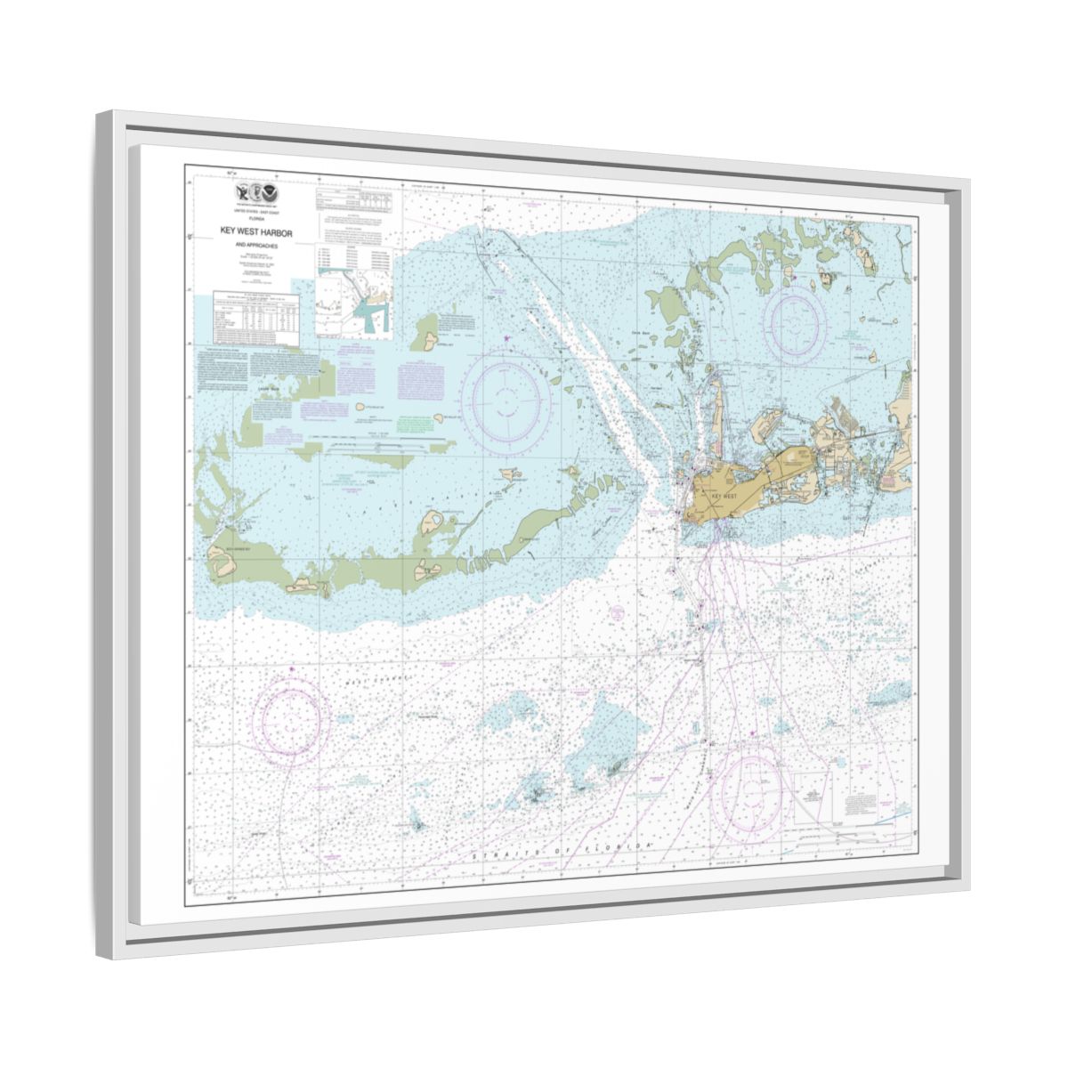 Chart 11441 Key West Harbor and Approaches - NOAA Nautical Chart Floating Frame Canvas | 32" x 24" | 40" x 30" - White side
