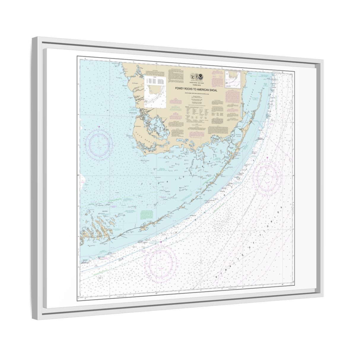 Chart 11450 Fowey Rocks to American Shoal - NOAA Nautical Chart Floating Frame Canvas | 32" x 24" | 40" x 30" - White side