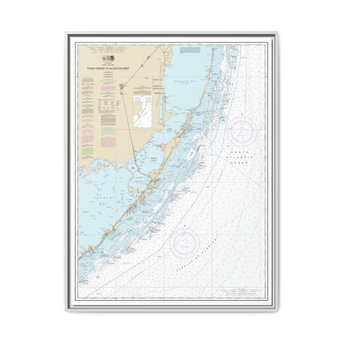 Chart 11462 Fowey Rocks to Alligator Reef - NOAA Nautical Chart Floating Frame Canvas | 24" x 32" | 30" x 40" - White front