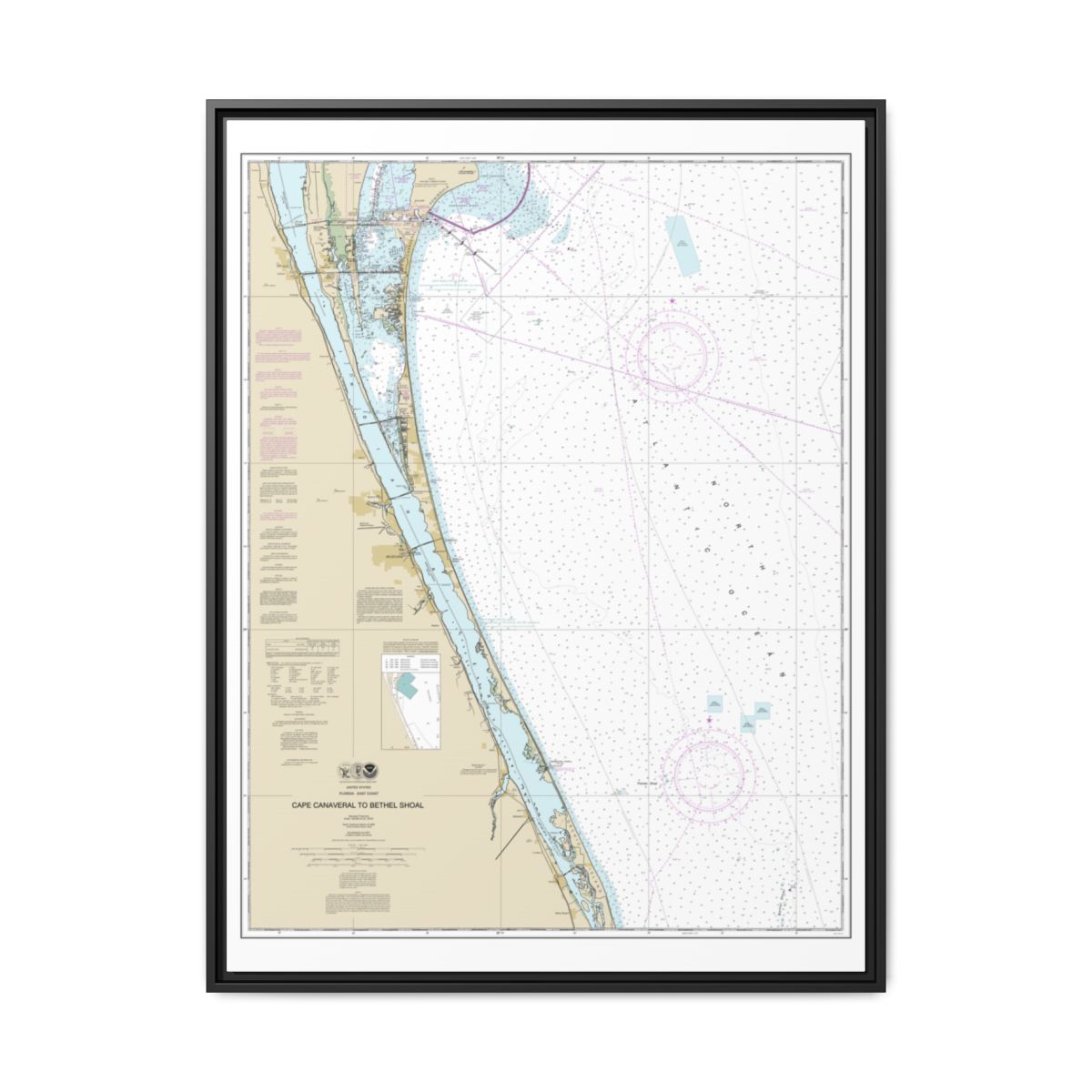 Chart 11476 Cape Canaveral to Bethel Shoal - NOAA Nautical Chart Floating Frame Canvas | 24" x 32" | 30" x 40" - Black front