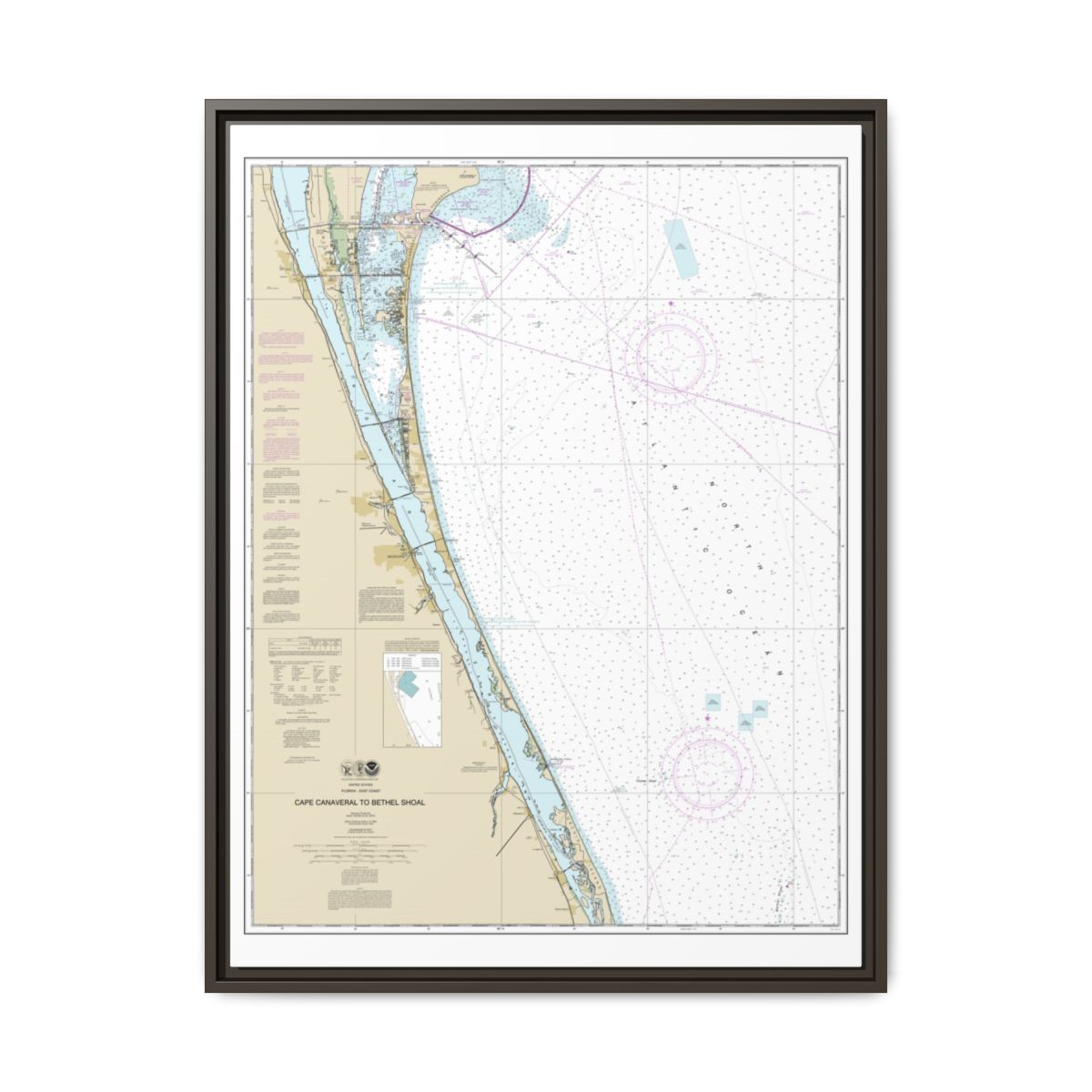 Chart 11476 Cape Canaveral to Bethel Shoal - NOAA Nautical Chart Floating Frame Canvas | 24" x 32" | 30" x 40" - Espresso front