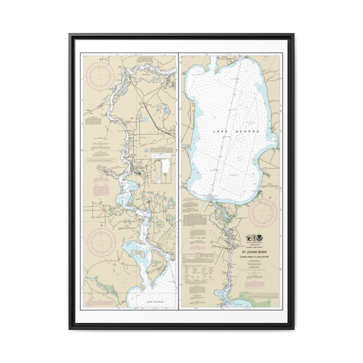 Chart 11495 St. Johns River Dunns Creek to Lake Dexter - NOAA Nautical Chart Floating Frame Canvas | 24" x 32" | 30" x 40" - Black front
