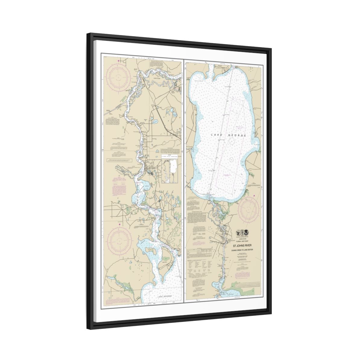 Chart 11495 St. Johns River Dunns Creek to Lake Dexter - NOAA Nautical Chart Floating Frame Canvas | 24" x 32" | 30" x 40" - Black side