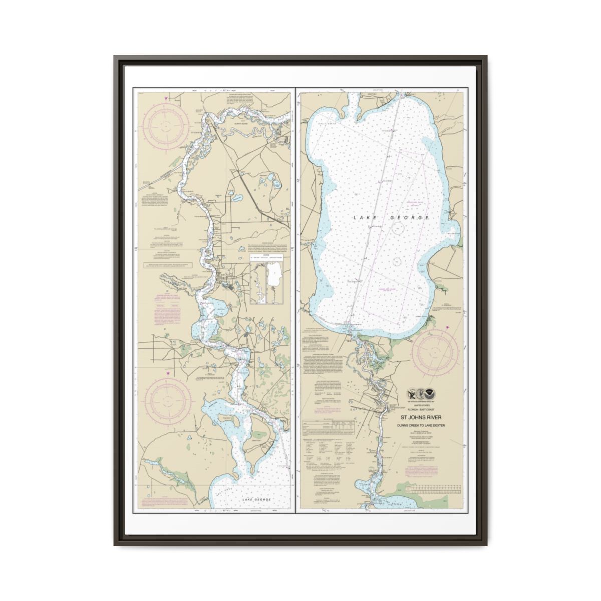Chart 11495 St. Johns River Dunns Creek to Lake Dexter - NOAA Nautical Chart Floating Frame Canvas | 24" x 32" | 30" x 40" - Espresso front