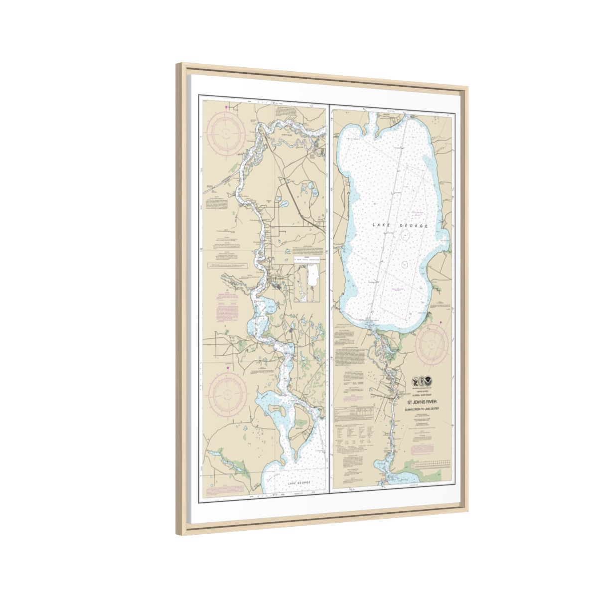 Chart 11495 St. Johns River Dunns Creek to Lake Dexter - NOAA Nautical Chart Floating Frame Canvas | 24" x 32" | 30" x 40" - Natural side