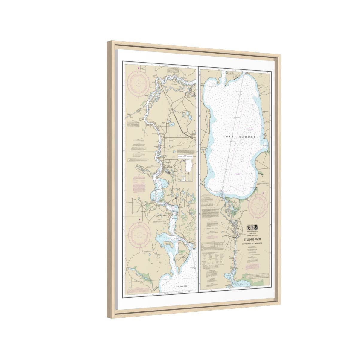 Chart 11495 St. Johns River Dunns Creek to Lake Dexter - NOAA Nautical Chart Floating Frame Canvas | 24" x 32" | 30" x 40" - Natural side